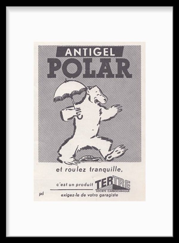 Car Parts Antigel Polar