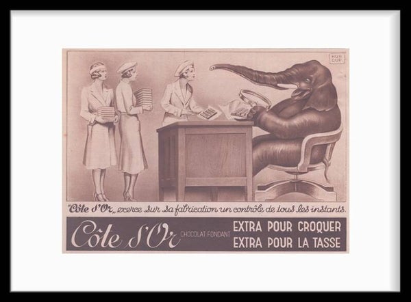 Côte D'or