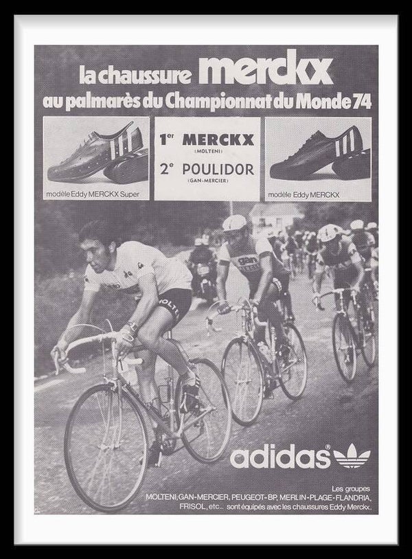 Cycling Adidas - Merckx