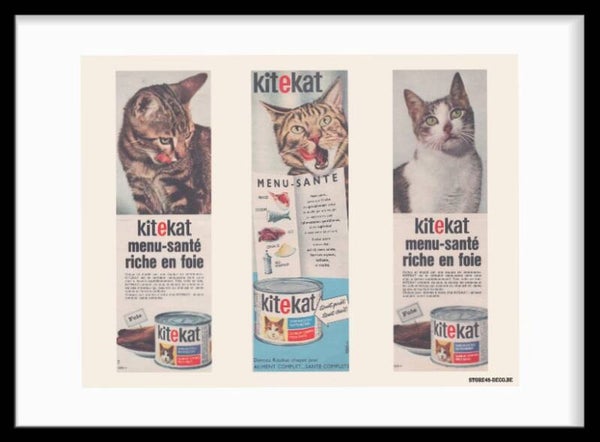 Pet Food Kitekat