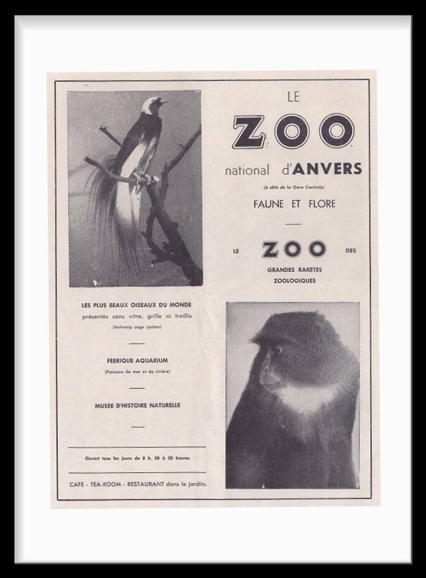 Zoo D' Anvers
