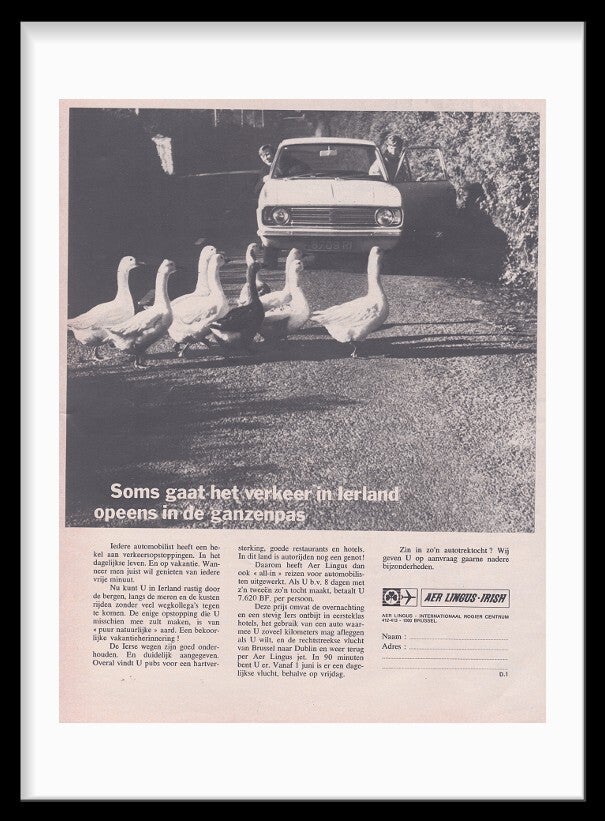 Airlines / AER Lingus - Irish