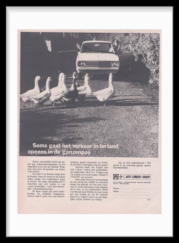 Airlines / AER Lingus - Irish