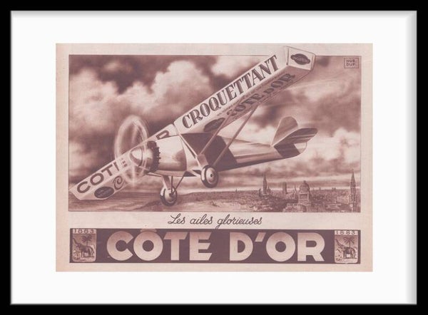 Côte D'or