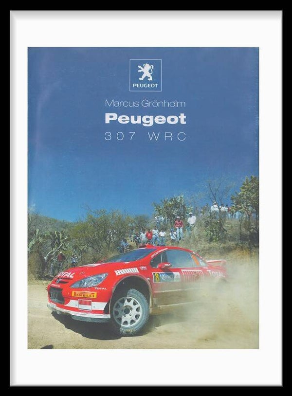 Peugeot 307 WRC Rally