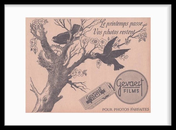 Agfa - Gevaert