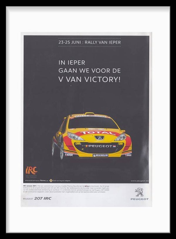 Peugeot 207 IRC Rally