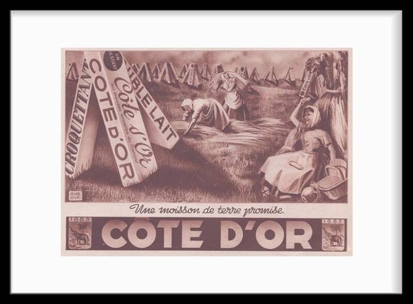 Côte D'or