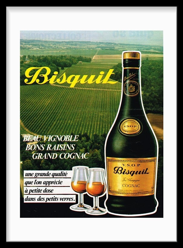 Bisquit