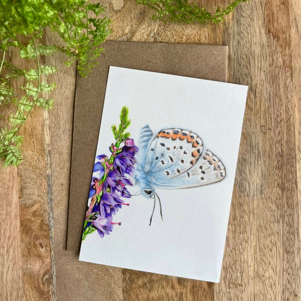 Ansichtkaart Heideblauwtje