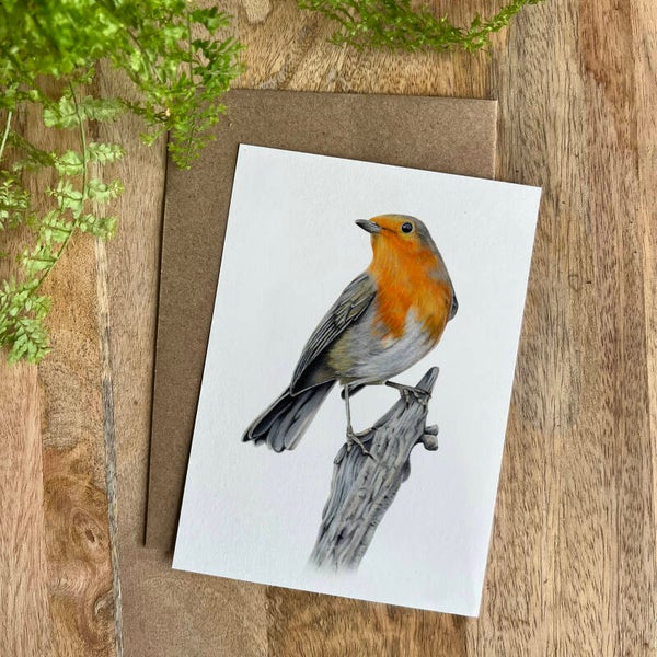 Ansichtkaart Roodborstje