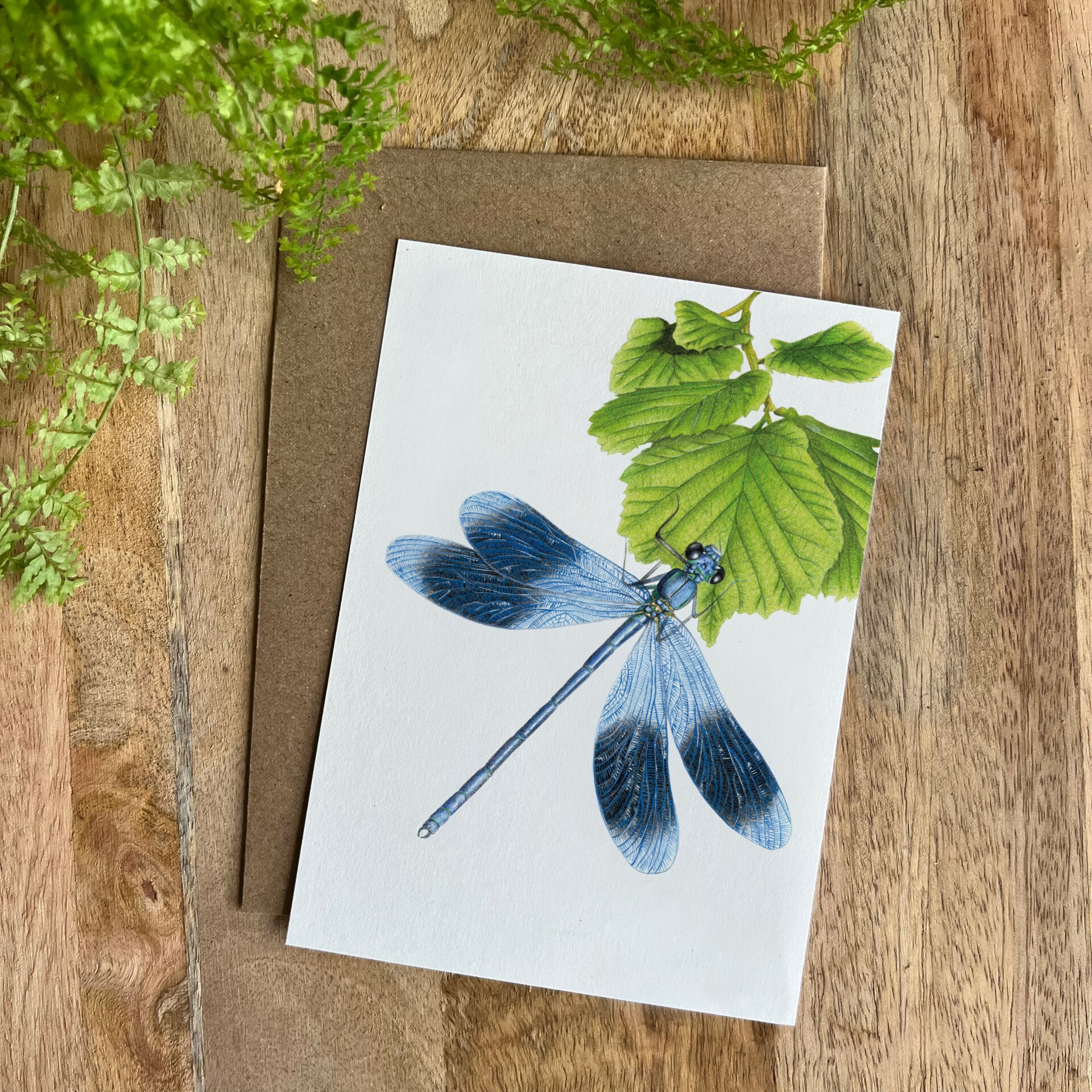 Ansichtkaart Libelle
