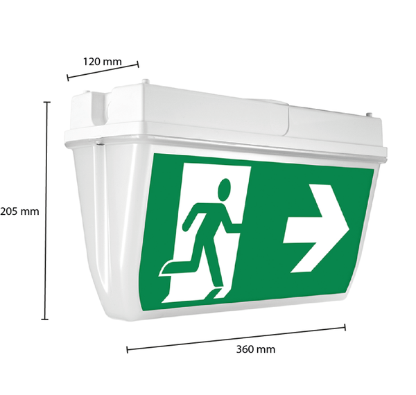 NOODVERLICHTING PLAFOND