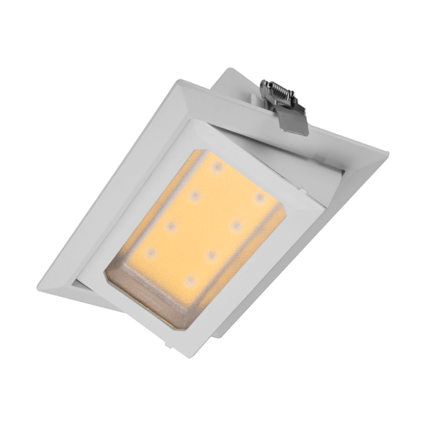 DOWNLIGHT | KANTELBAAR | 240X150 | 30W