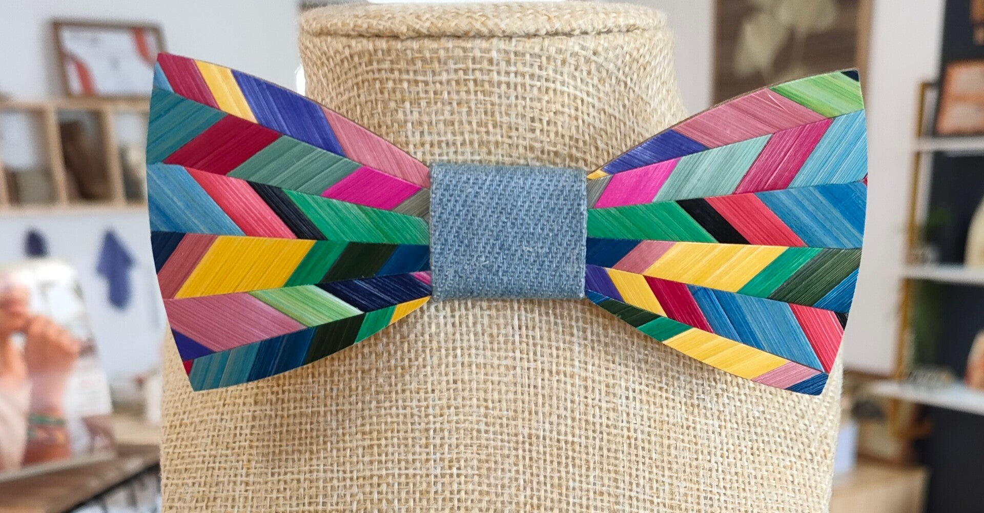 Nœud Papillon Multicolore