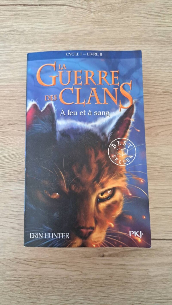 La guerre des clans - A feu et à sang