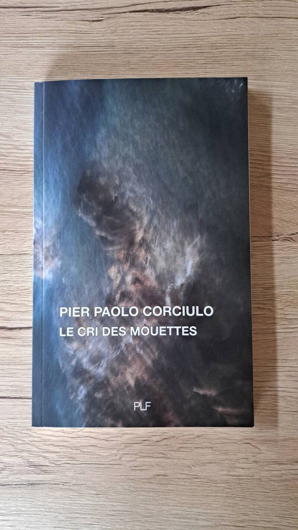 Pier Paolo Corciulo - Le cri des mouettes