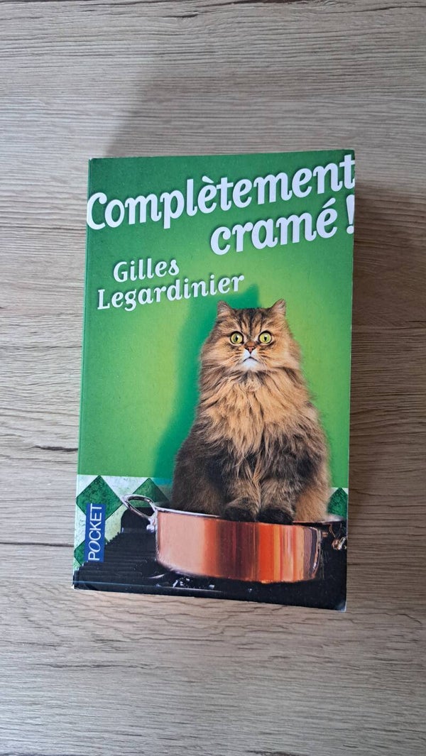 Gilles Legardinier - Complètement cramé !