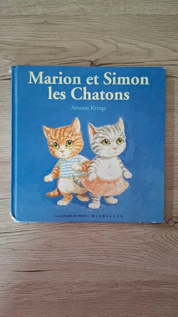 Marion et Simon les chatons