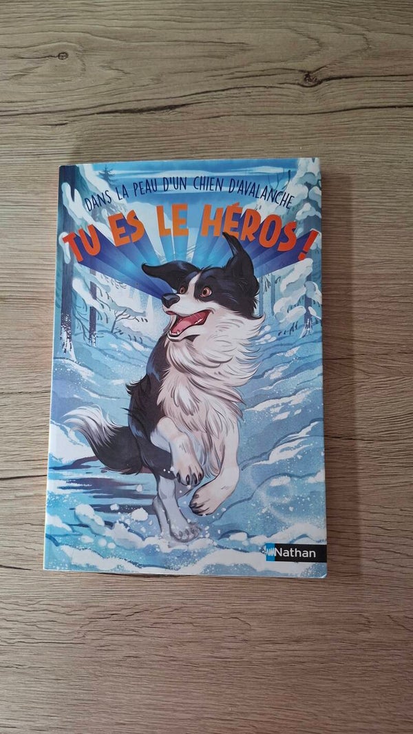Tu es le héros - Dans la peau la peau d'un chien d'avalanche