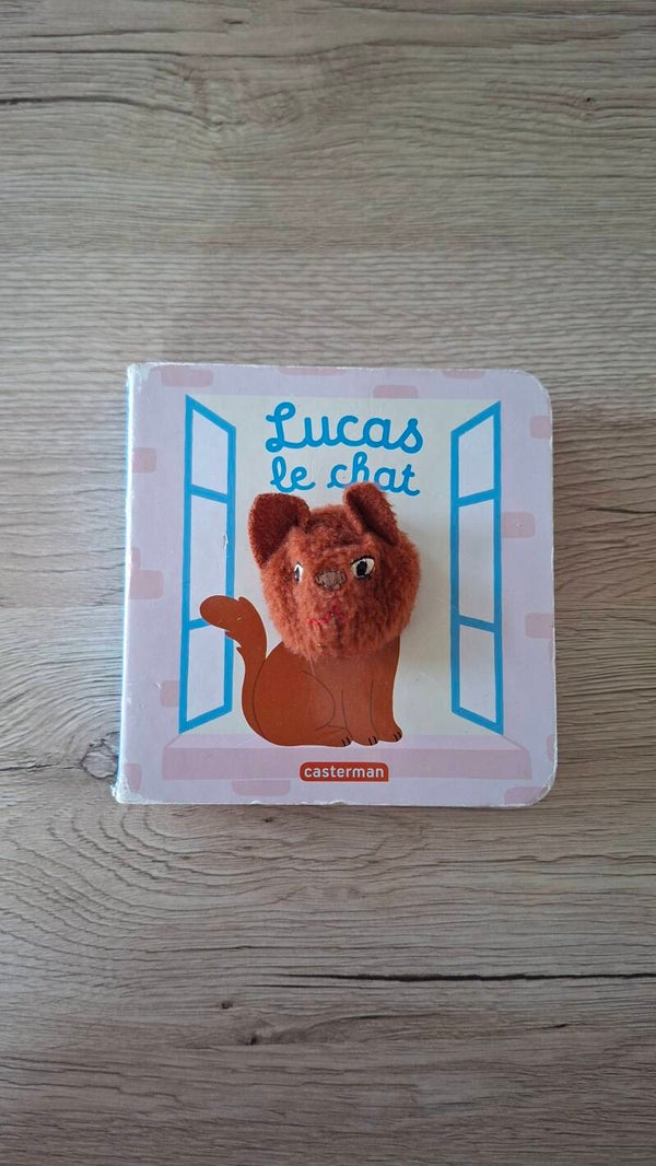 Lucas le chat