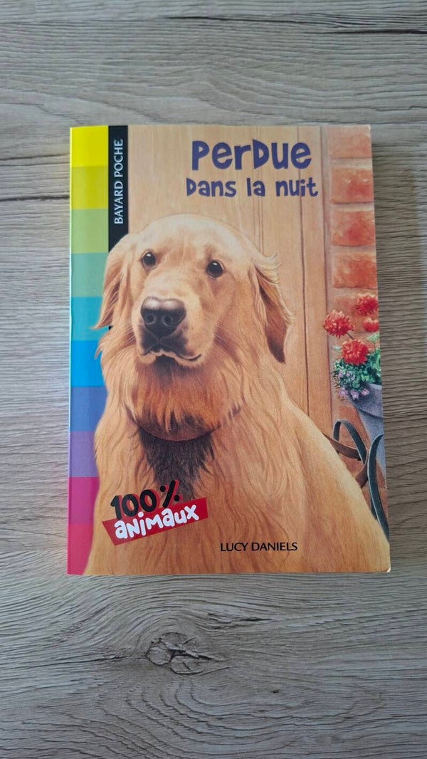 Perdue dans la nuit