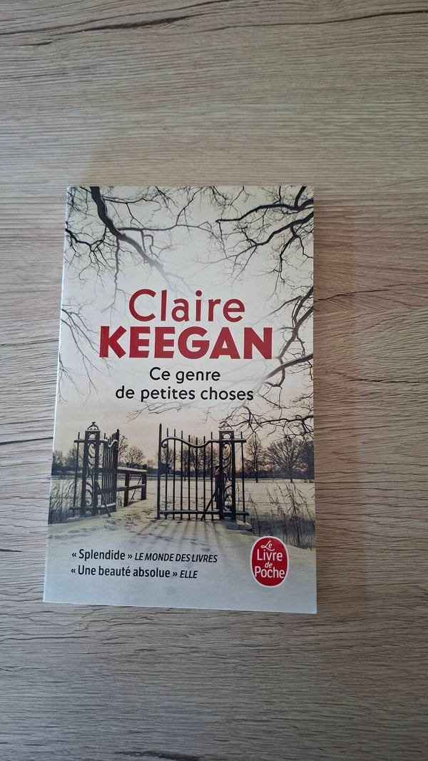Claire Keegan - Ce genre de petites choses