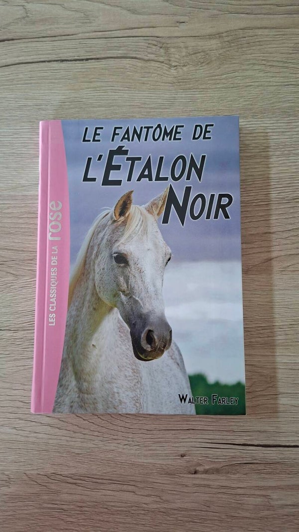 Le fantôme de l'Etalon noir