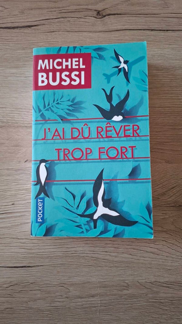 Michel Bussi - J'ai du rêver trop fort