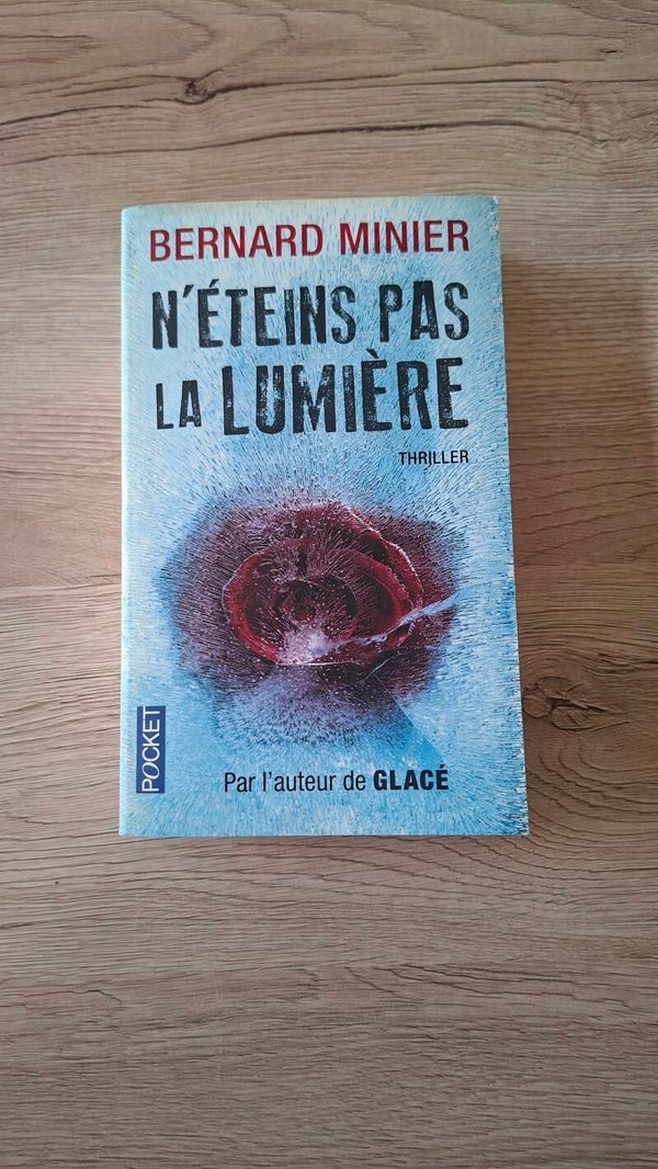 Bernard Minier - N'éteins pas la lumière