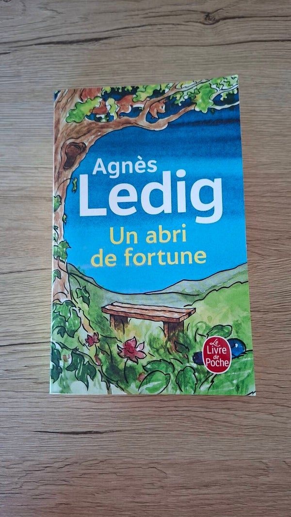 Agnès Ledig - Un abri de fortune