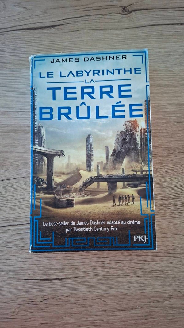 James Dashner - Le labyrinthe - La terre brûlée