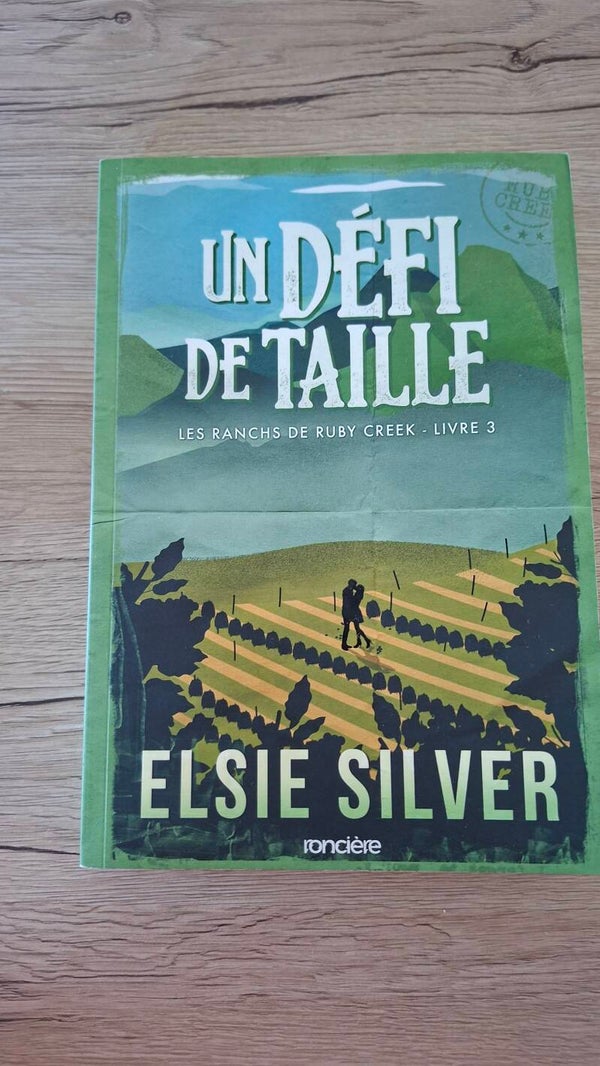 Elsie Silver - Un défi de taille