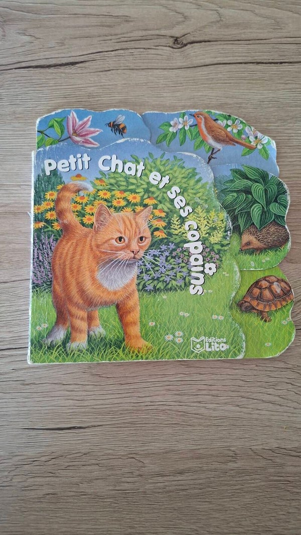 Petit chat et ses copains