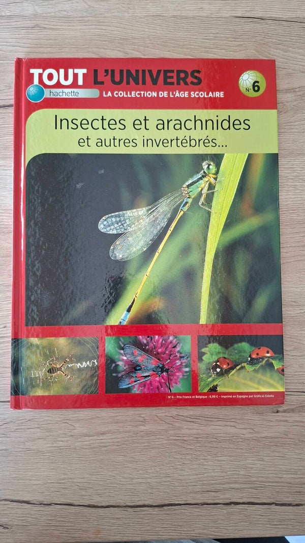 Insectes et arachnides et autres invertébrés