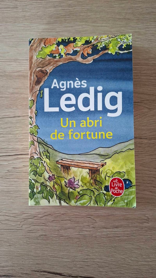 Agnès Ledig - Un abri de fortune
