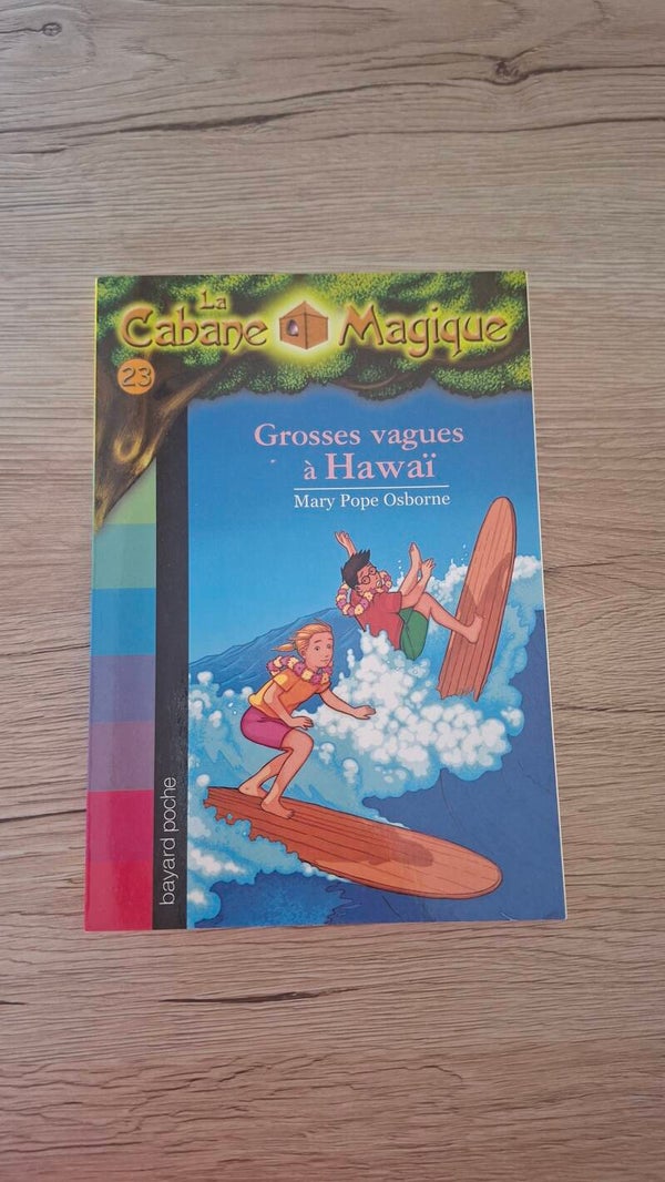 La cabane magique - Grosses vagues à Hawaï