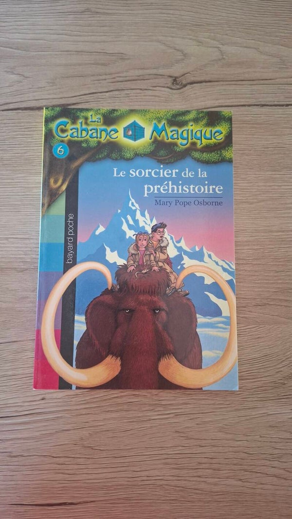 La cabane magique - Le sorcier de la préhistoire