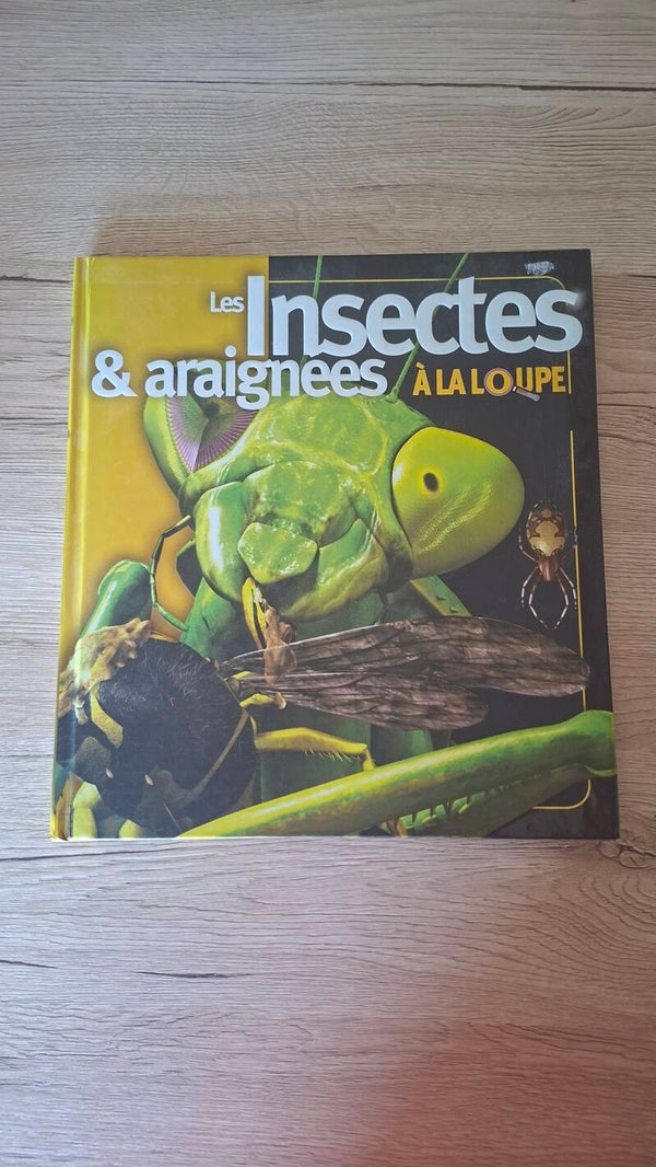Les insectes & araignées à la loupe