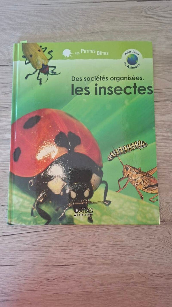 Des sociétés organisées, les insectes