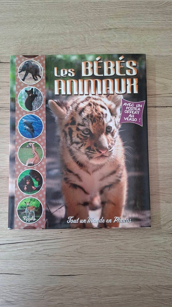 Les bébés animaux