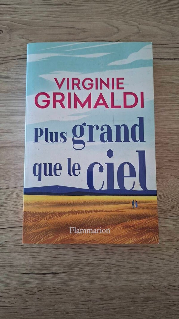 Virginie Grimaldi - Plus grand que le ciel