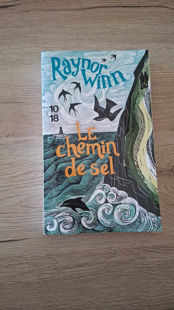 Raynor Winn - Le chemin de sel