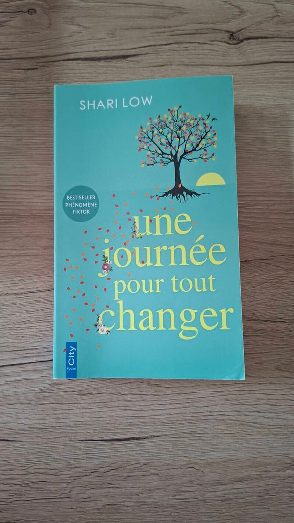 Shari Low - Une journée pour tout changer