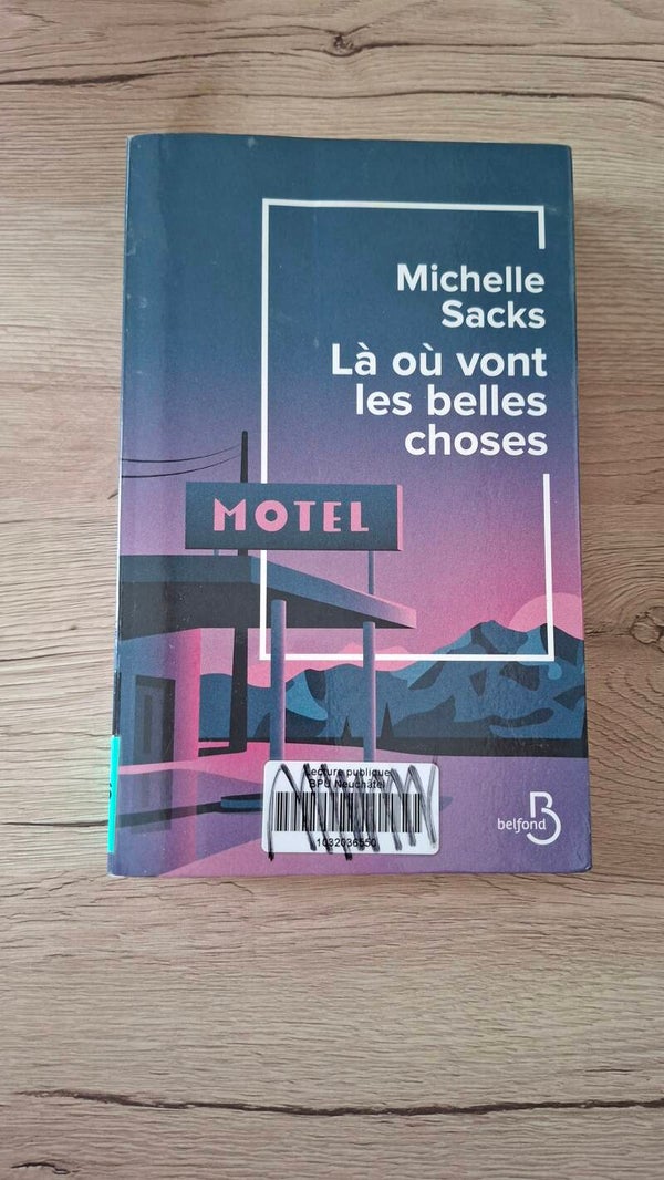 Michelle Sacks - Là où vont les belles choses