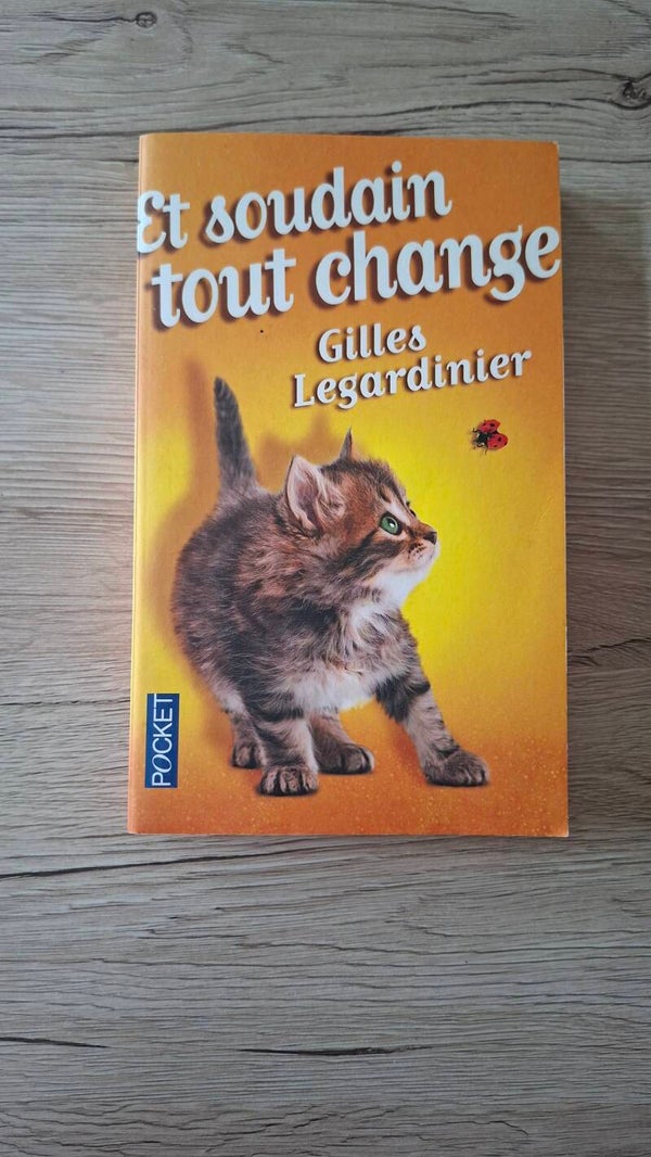 Gilles Legardinier - Et soudain tout change