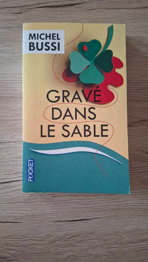 Michel Bussi - Gravé dans le sable