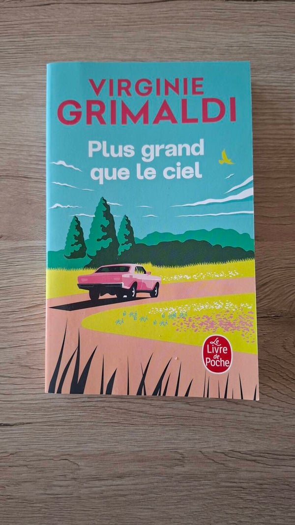 Virginie Grimaldi - Plus grand que le ciel