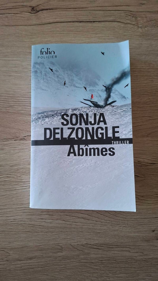 Sonja Delzongle - Abîmes