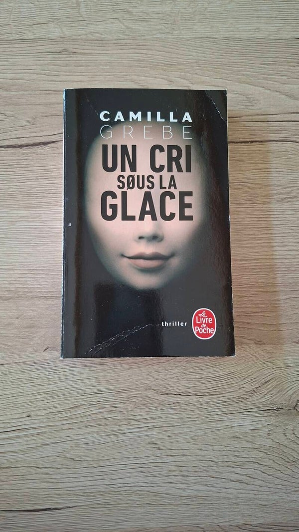Camilla Grebe - Un cri sous la glace